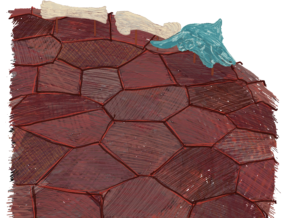 Connection Points — Detailed Close-Up View
