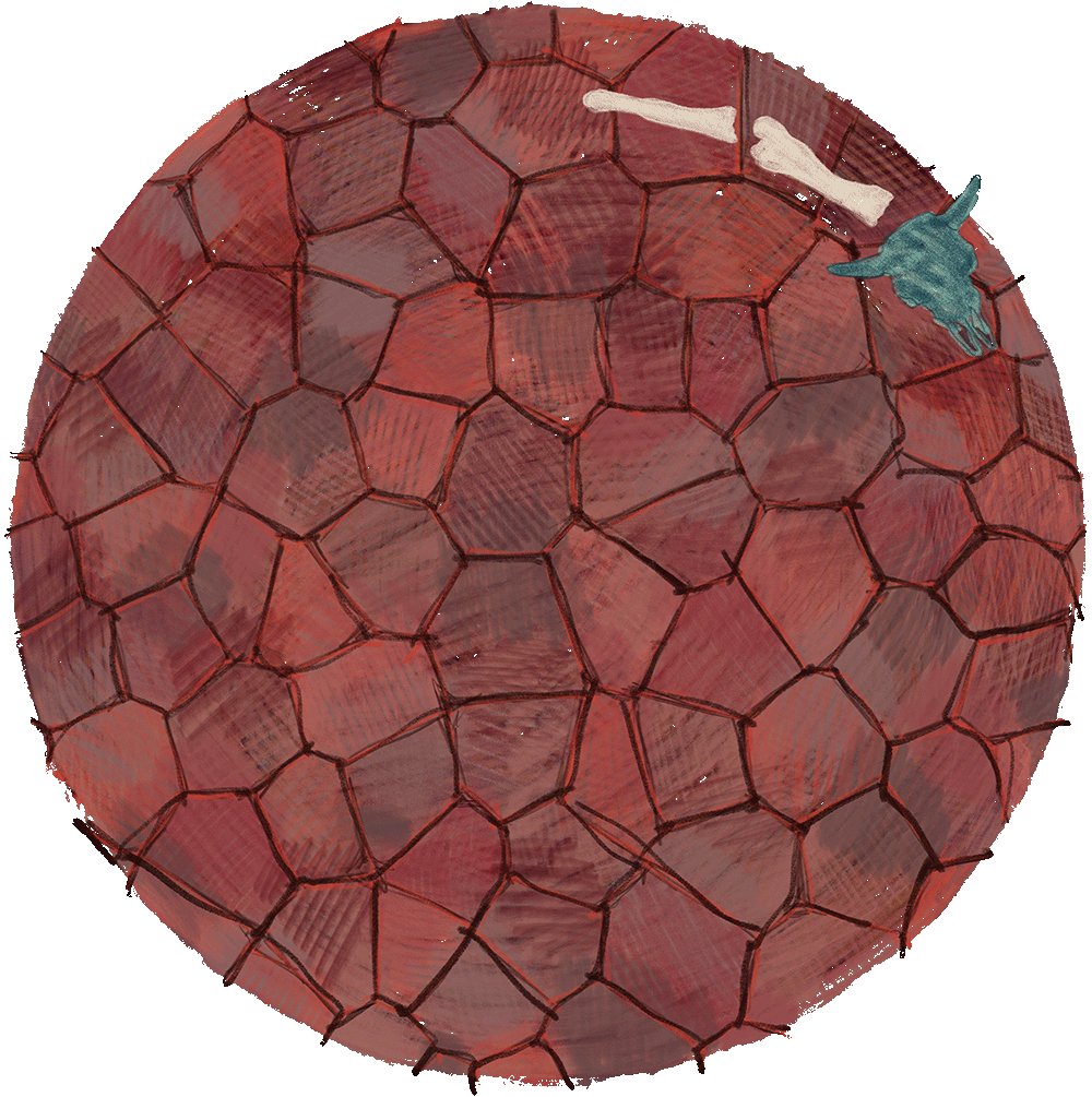 Connection Points — Top-Down View